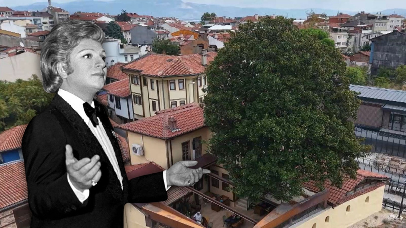 Zeki Müren'in koklamaya kıyamadığı 300 yıllık manolyanın hikayesini anlattı