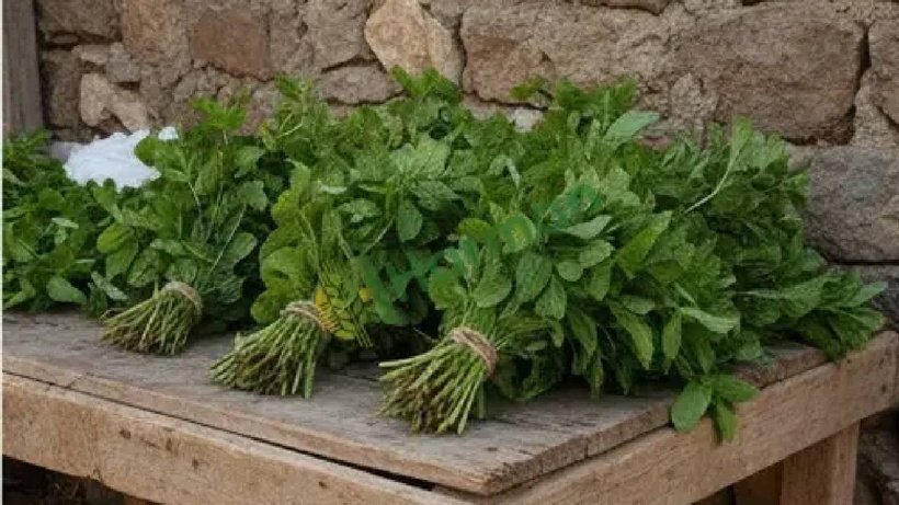 Avrupa kapış kapış alıyor: Bu ürünü eken çiftçi iki kere kazanıyor! - Fotoğraf: 6