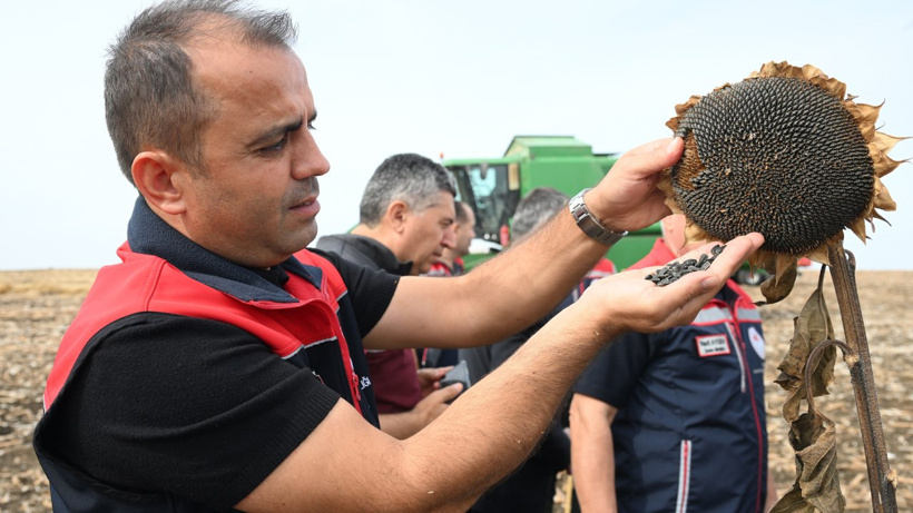 İBB duyurdu: 10 farklı çeşit denediler, başarılı olanlar çiftçiye verilecek