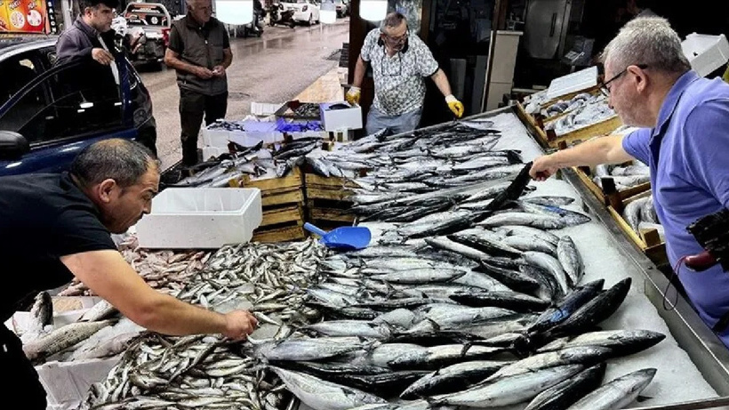 Kasalarla limana döndüler! 50 liraya düşünce sattıkça sattılar