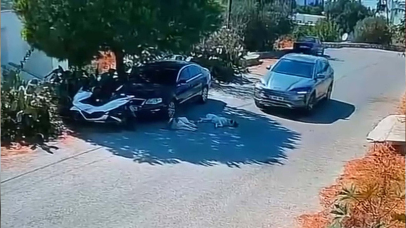 İki köpeğin üzerinden geçip hiç arkasına bakmadı! Mahalleli 4 gündür arıyor