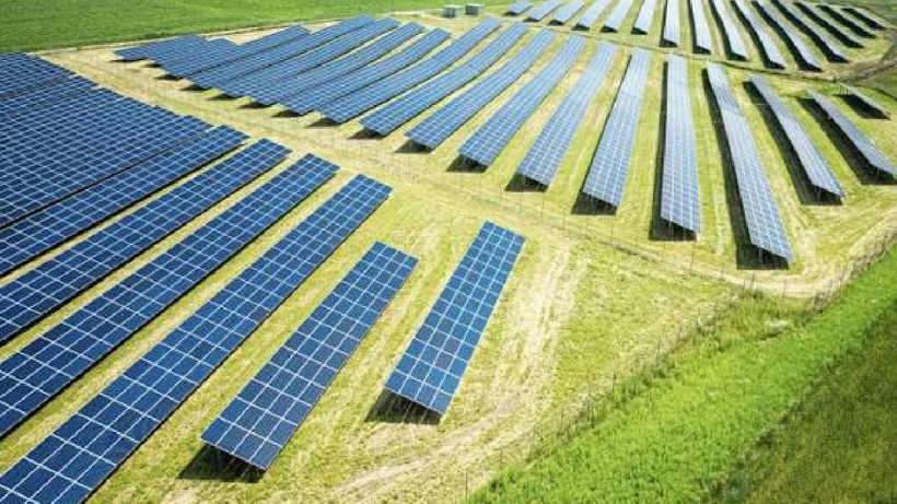 Elektrik için kurup tarlanın üstünü kapattılar: Hasat rekoru kırdılar! - Fotoğraf: 6