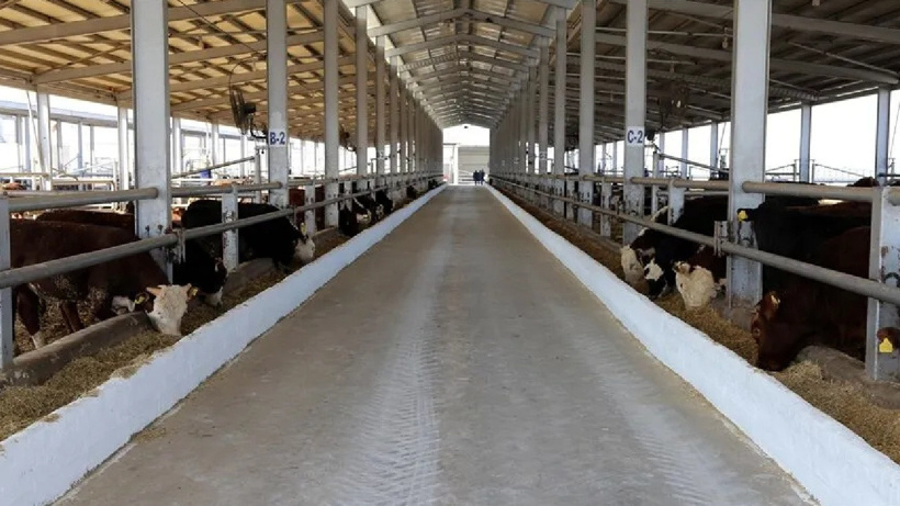 Alarm verildi hayvan pazarı apar topar kapatıldı