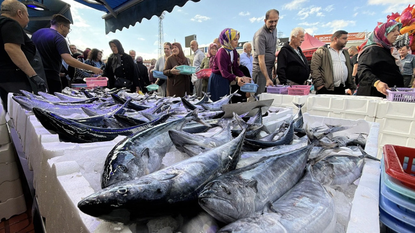 Palamut 50 liraya düşünce tezgahlarda adım atacak yer kalmadı: Kasanın biri geliyor diğeri gidiyor