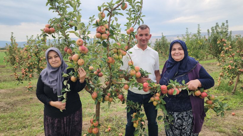 İki yılda bir ürün veriyor: Kolonyadan sirkeye kadar her şeyde kullanılıyor