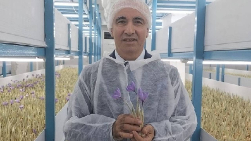 Topraksız tarımla "kırmızı altın" ürettiler: 100m² odada başladı, dünya devleri sıraya girdi - Fotoğraf: 9