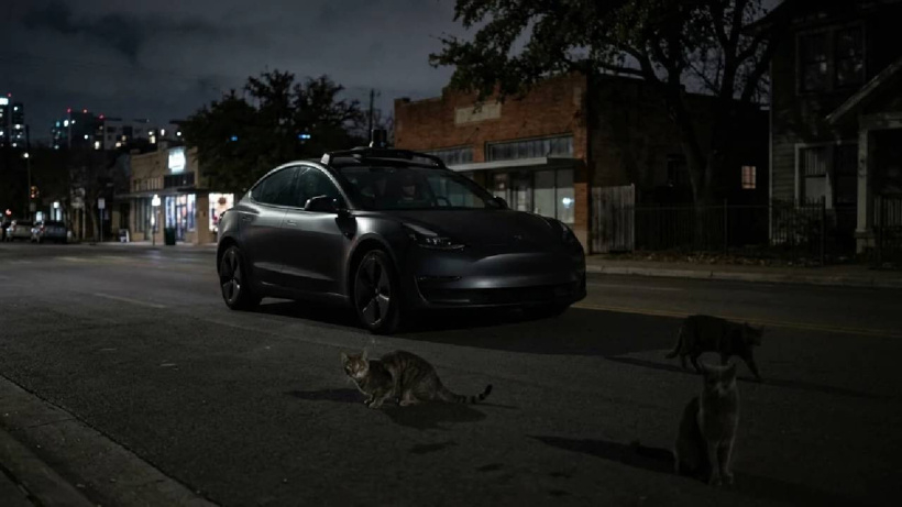 Tesla pes etti: Kediler kazandı!