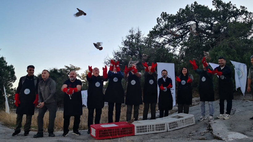 Aynı anda yüzlercesini doğaya saldılar