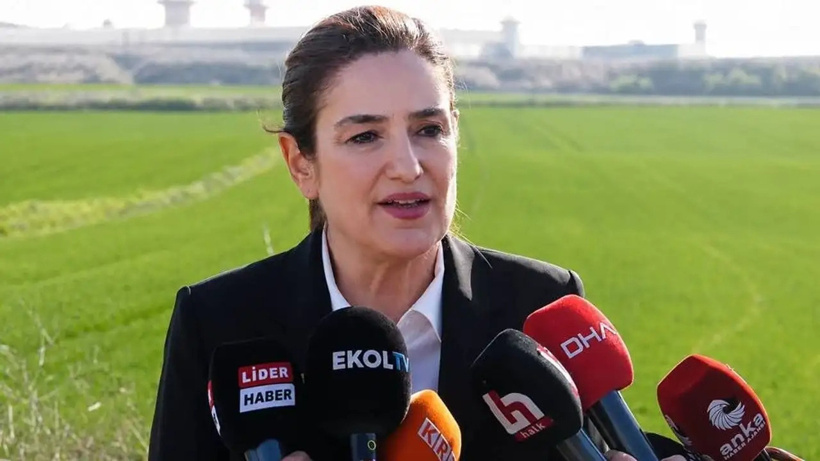Ahbap soruşturmasında tutuklanan avukat Ece Güner tahliye edildi