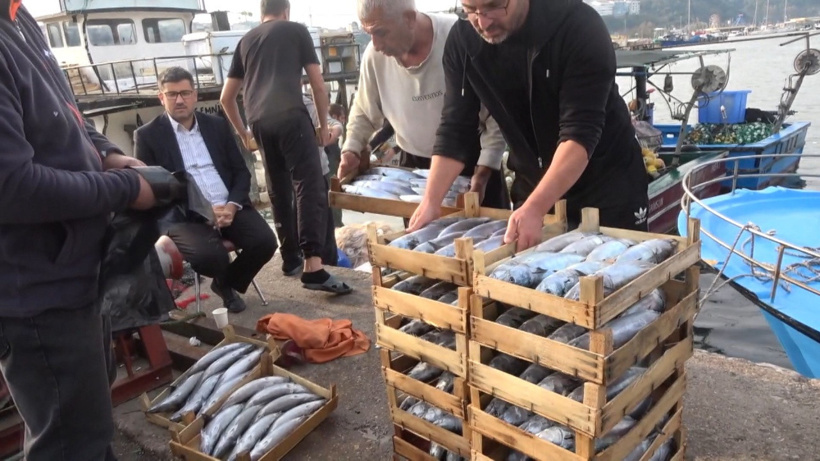 Karadeniz Karadeniz olalı böyle akın görmedi: Kasa kasa tuttular kasasını 600 liraya sattılar