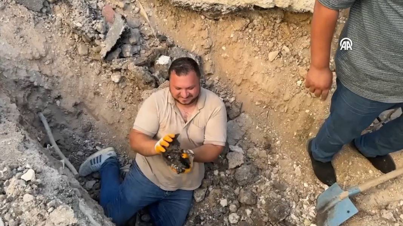 Ölüme inat yaşam! Yavru kedi için yolu kazdılar - Fotoğraf: 4