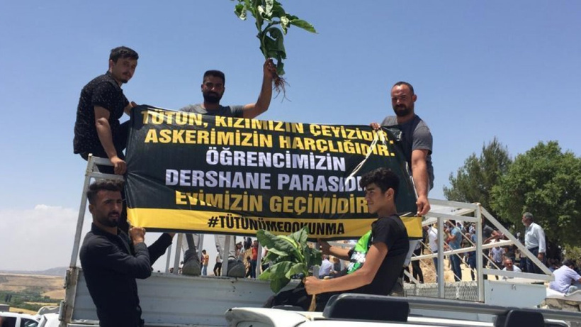 Tutuklanan tütün üreticilerinden 2'si serbest bırakıldı