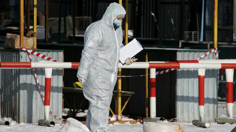 Çin: H3N8 kuş gribi insanda tespit edildi