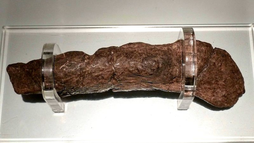 İnanılmaz Derecede İyi Korunmuş 1200 Yıllık Viking Kakası