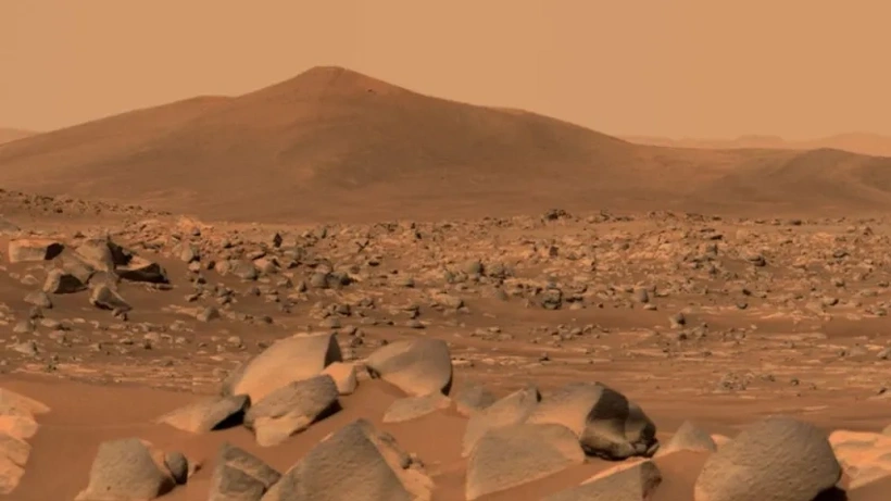 Hollandalı araştırmacılar, Mars topraklarında hayatta kalabilecek hayvanı belirlediler