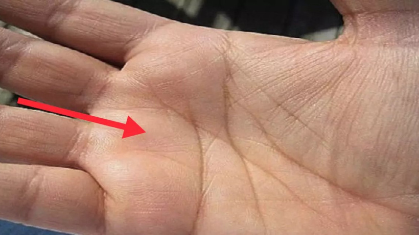 Avuç İçindeki "M" Harfi Ne Anlama Geliyor? Avucunuzu Dikkatle İnceleyin