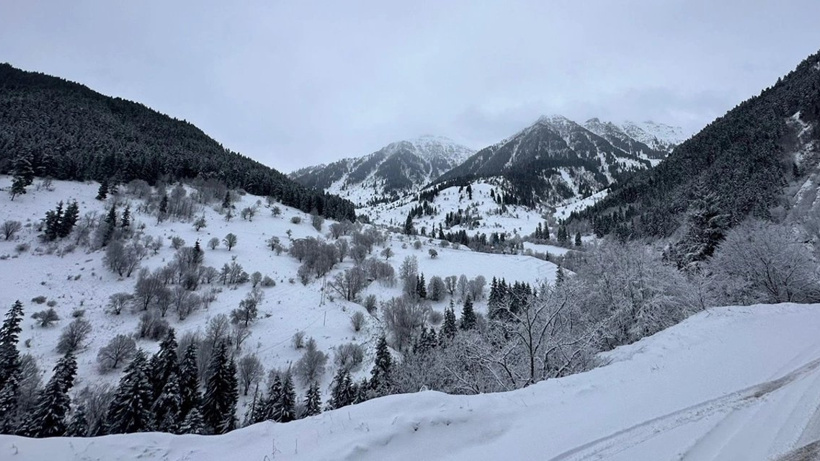 Artvin'de Yollar Ulaşıma Kapandı, Evleri Su Bastı