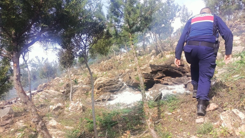 Hazine Arazisindeki Ağaçları Yakan 20 Şüpheli Gözaltında