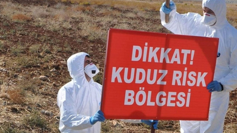 Hatay'da 2 Mahalleye Kuduz Karantinası!