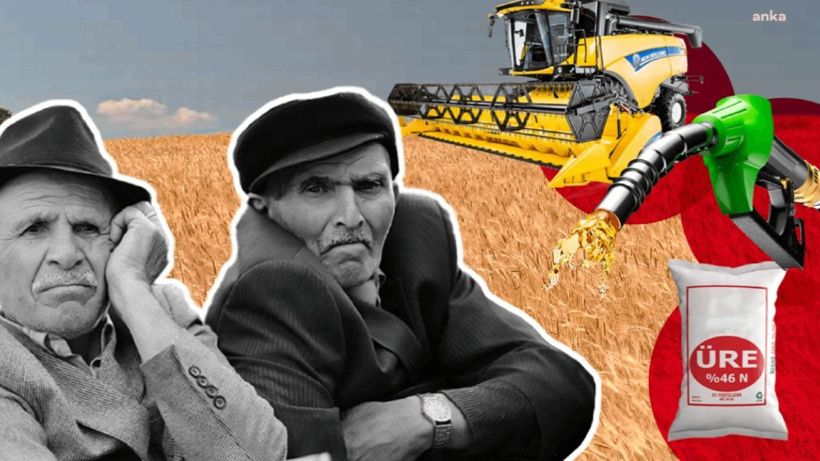Hububat Alım Fiyatlarına Tepki: 'Bu Fiyatlar Gelecek Yıl Üretimi Düşürür!'