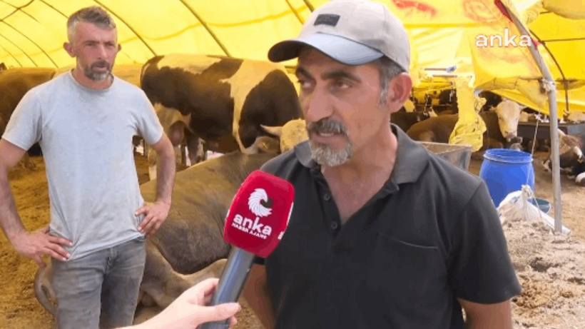 Kurban Pazarında Satıcılar Tepkili: Maliyetler Yüzde 100 Arttı! Böyle Giderse...