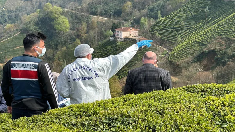 Rize'de Çay Bahçesinde Erkek Cesedi Bulundu