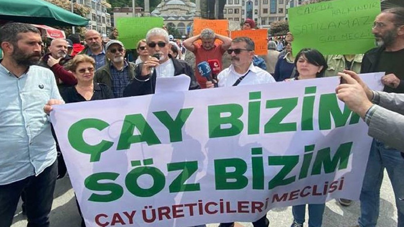 Hopalı Çay Üreticileri: Devlet çay üreticisini özel sektör insafına bıraktı