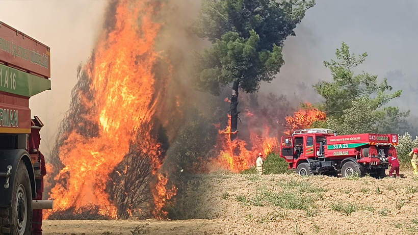 Kozan'da korkutan yangın!
