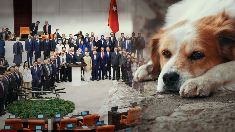 AKP'den ve MHP'den 42 fire... Katliam yasasına vicdanları el vermedi mi?