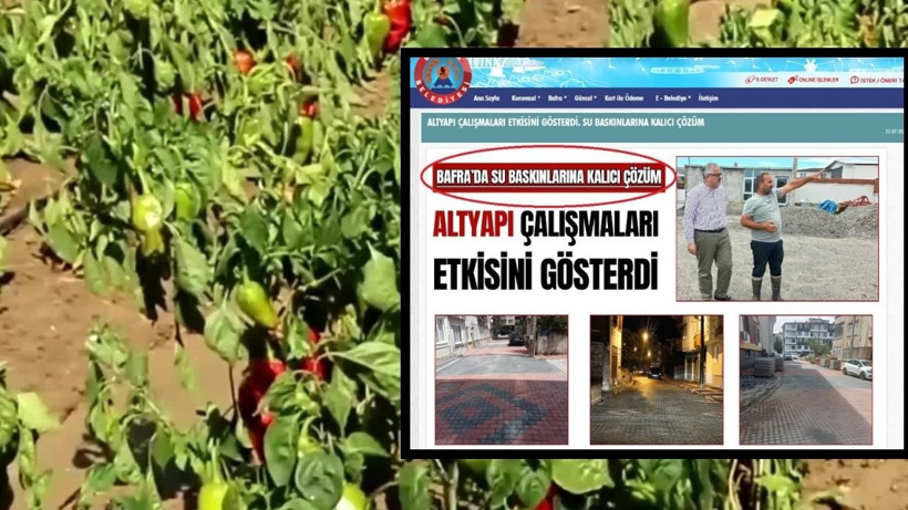 AKP'li Belediye'nin "Su birikintisi oluştu" dediği ilçede tonlarca mahsül ziyan oldu