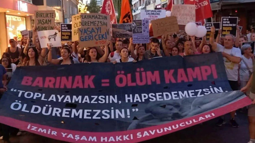 Yazarlar ve uzmanlardan 'Katliam Yasası'na' tepki: Meclis'e çağrıda bulundular