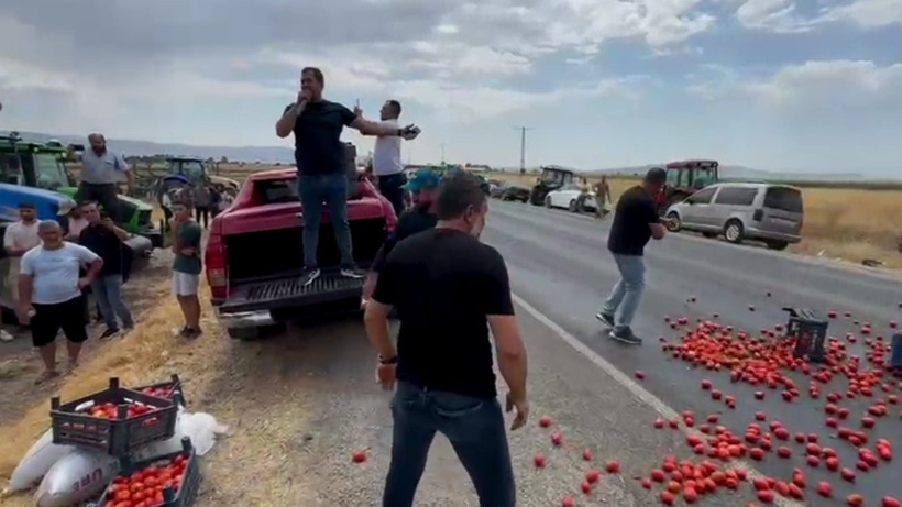 Kahramanmaraş'ta çiftçiler ellerinde kalan domatesleri yola döktü