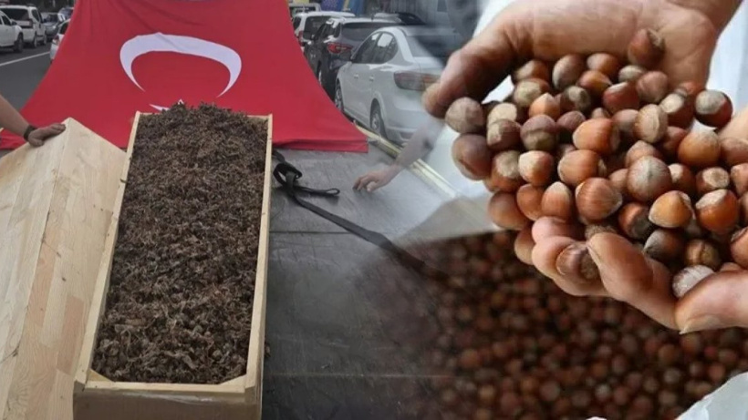 Fındık ihracatı milyar doları aştı ama üretici eylemde