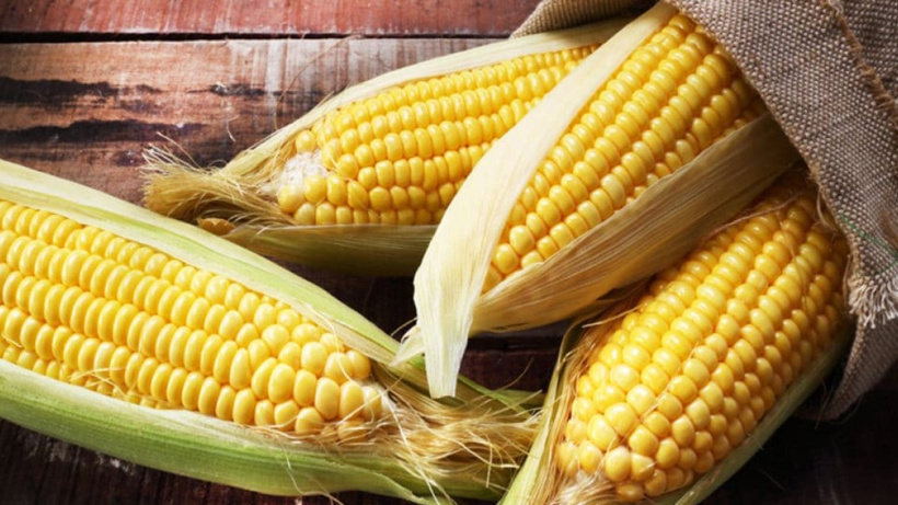 Mısır Airfryer'da pişirilir mi? Saatlerce haşlanmasını beklemek istemeyenler dikkat!