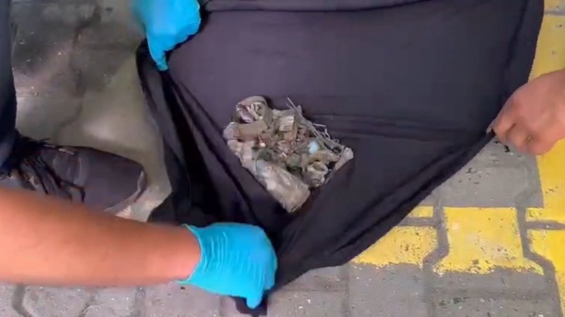 Tarihi eser kaçakçılarına operasyon