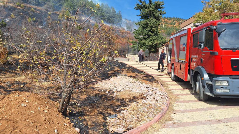 Kahramanmaraş'ta orman yangını