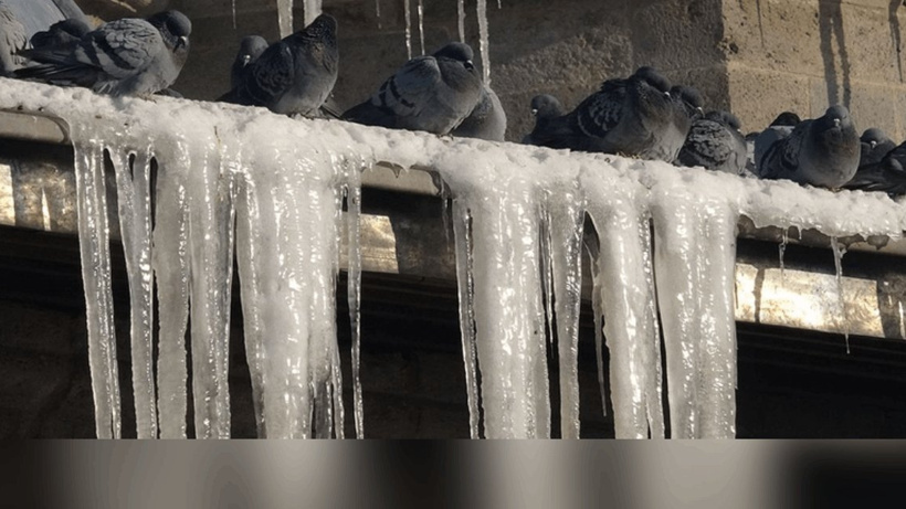 Hava -25 dereceye düştü her şey dondu
