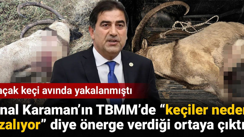 Kaçak keçi avında yakalanan Ünal Karaman’ın 'TBMM’de keçiler neden azalıyor' diye önerge verdiği ortaya çıktı