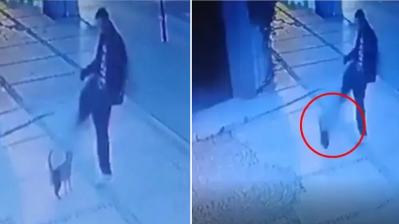 Kediyi tekme atarak yaralayan saldırgana verilen ceza belli oldu