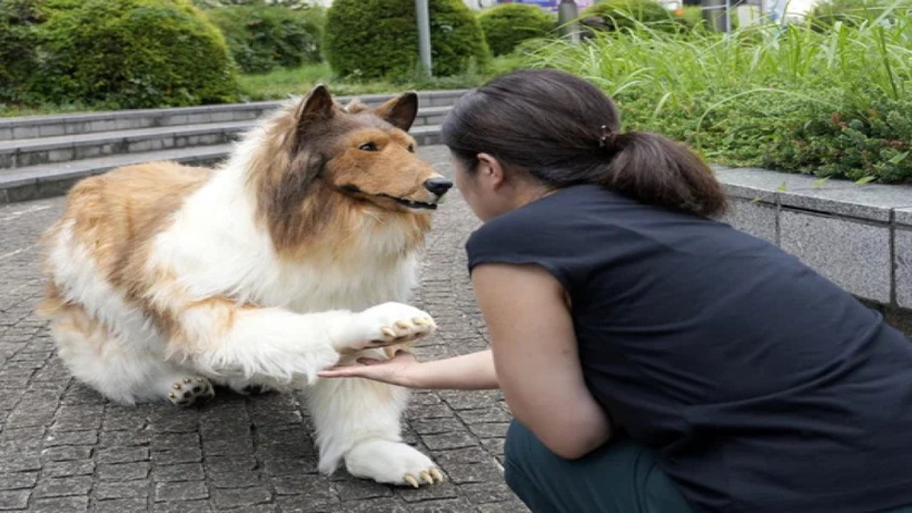 Köpek kostümü için 14.000 dolar harcamıştı: Şimdi de insanların hayvan kılığına girebileceği bir hayvanat bahçesi açtı