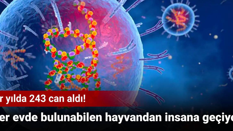 Her evde bulunabilen hayvandan insana geçiyor: Bir yılda 243 can aldı