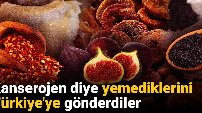Kanserojen diye yemediklerini Türkiye'ye gönderdiler