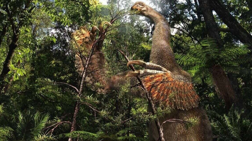 Tarihe ışık tutacak yeni dinozor türü keşfedildi