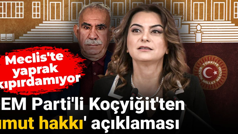 DEM Parti'li Koçyiğit'ten 'umut hakkı' açıklaması: Meclis'te yaprak kıpırdamıyor