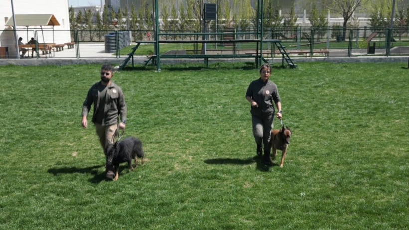 11 yıl hizmet veren köpekler artık emekli oldu