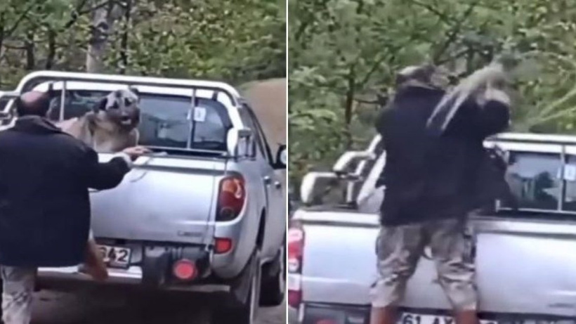 Köpeğe şiddet uygulayan kişi hakkında karar
