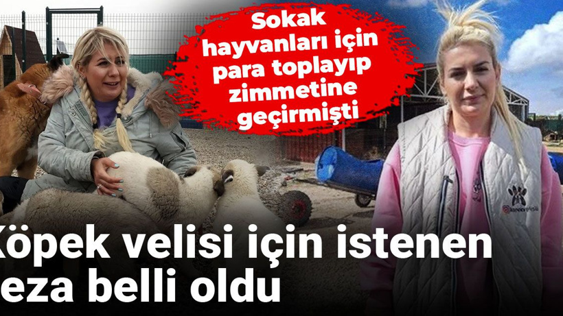 Sokak hayvanları için para toplayıp zimmetine geçirmişti: Köpek velisi için istenen ceza belli oldu