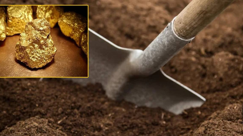 Tarlasında 4 milyar avro değerinde 150 ton altın buldu