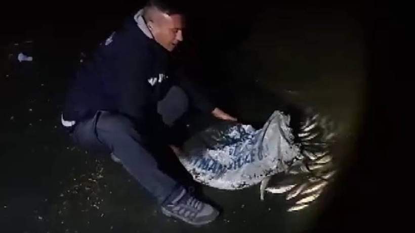 Van'da kaçak avcılara geçit yok! Yüzlerce balık ele geçirildi
