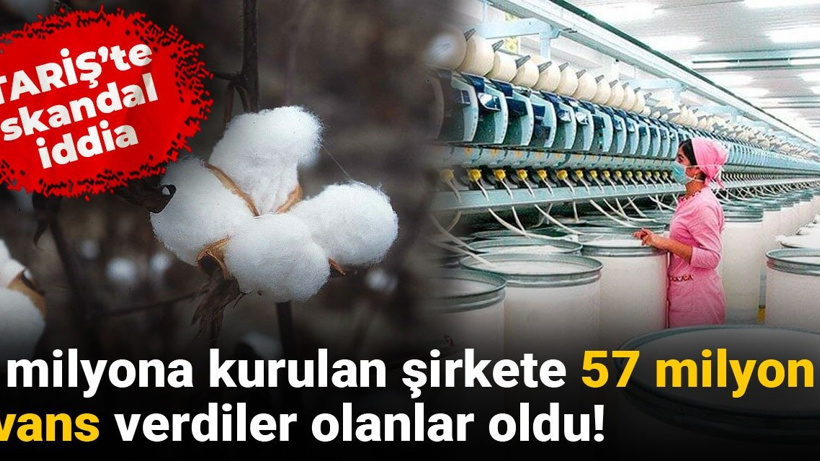 TARİŞ'te skandal iddia: 5 milyona kurulan şirkete 57 milyon avans verdiler olanlar oldu!